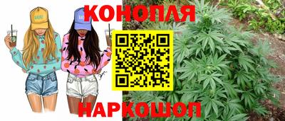 мяу мяу мука Ефремов